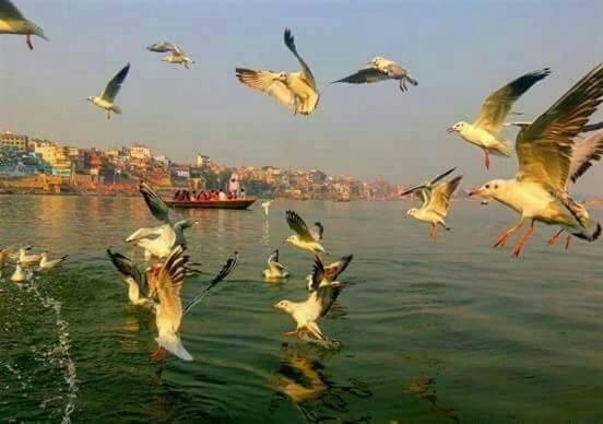 Shiva Ganges View Guest House Waranasi Zewnętrze zdjęcie